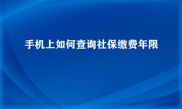 手机上如何查询社保缴费年限