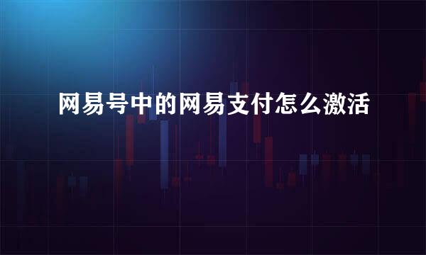 网易号中的网易支付怎么激活