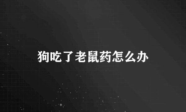 狗吃了老鼠药怎么办