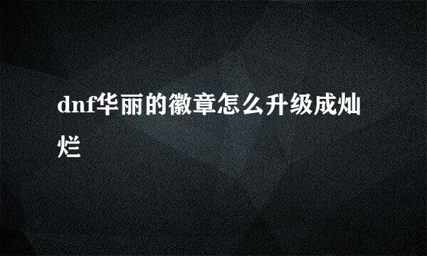 dnf华丽的徽章怎么升级成灿烂