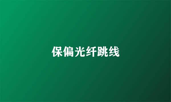 保偏光纤跳线