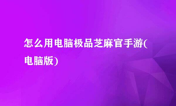 怎么用电脑极品芝麻官手游(电脑版)