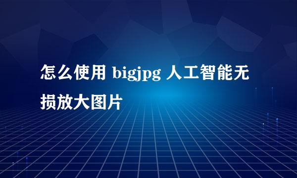 怎么使用 bigjpg 人工智能无损放大图片