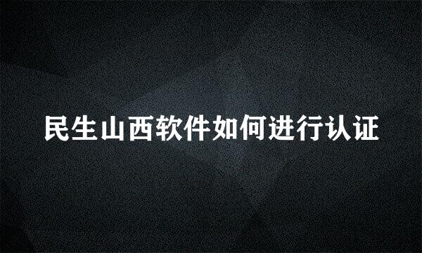 民生山西软件如何进行认证