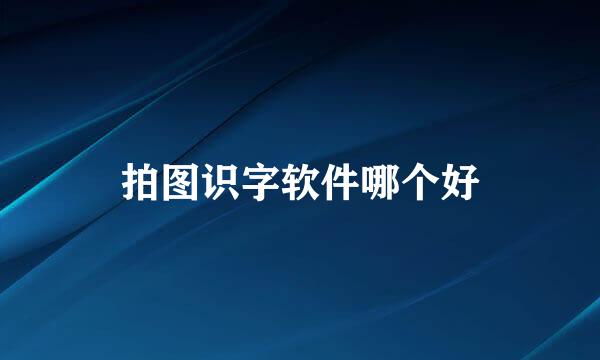 拍图识字软件哪个好