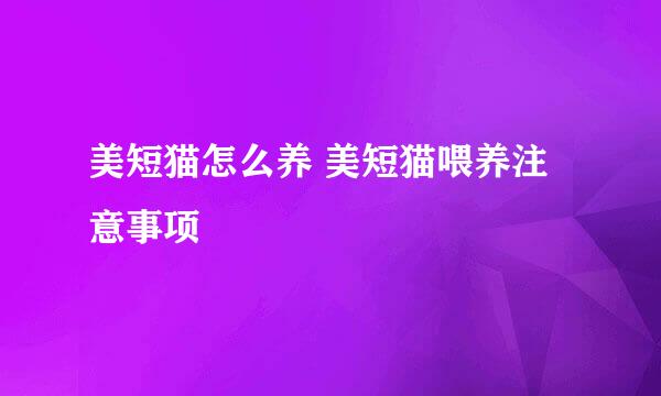 美短猫怎么养 美短猫喂养注意事项