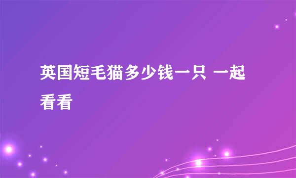 英国短毛猫多少钱一只 一起看看