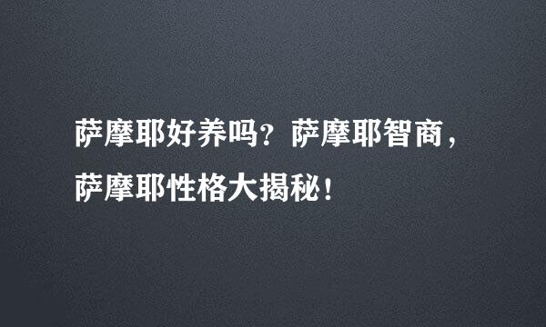 萨摩耶好养吗？萨摩耶智商，萨摩耶性格大揭秘！