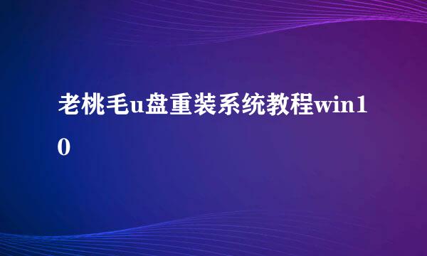 老桃毛u盘重装系统教程win10
