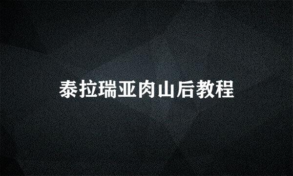泰拉瑞亚肉山后教程