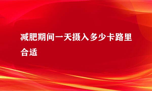 减肥期间一天摄入多少卡路里合适