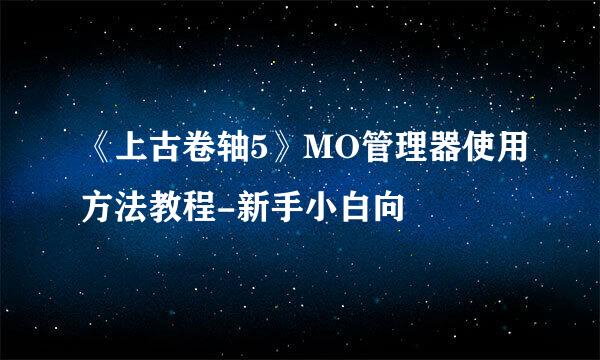 《上古卷轴5》MO管理器使用方法教程-新手小白向