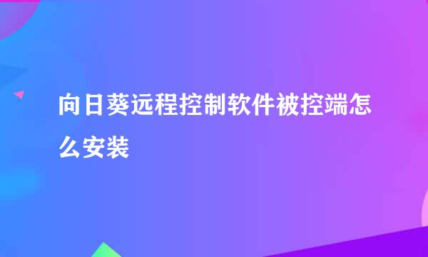 向日葵远程控制软件被控端怎么安装