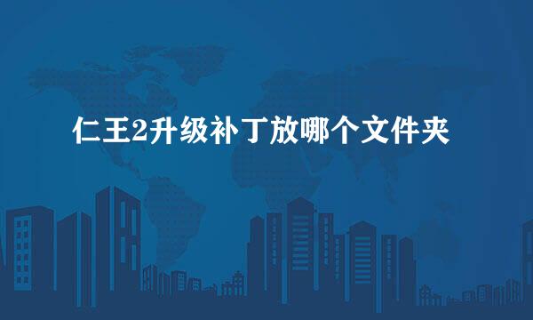 仁王2升级补丁放哪个文件夹