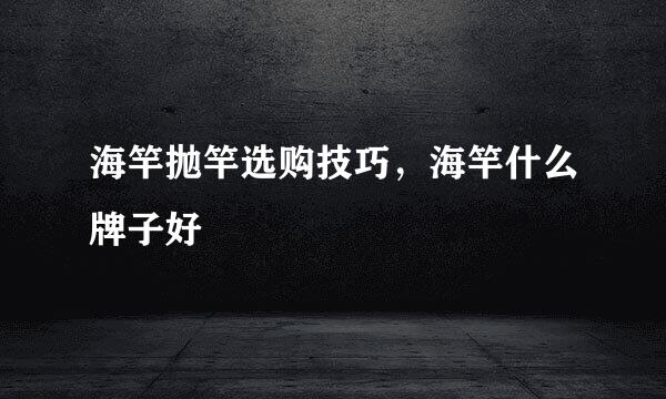 海竿抛竿选购技巧，海竿什么牌子好