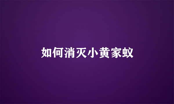 如何消灭小黄家蚁