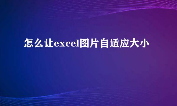 怎么让excel图片自适应大小