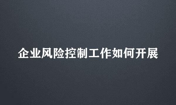 企业风险控制工作如何开展