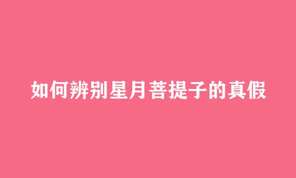 如何辨别星月菩提子的真假