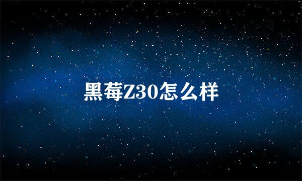 黑莓Z30怎么样
