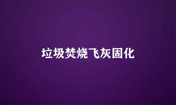 垃圾焚烧飞灰固化