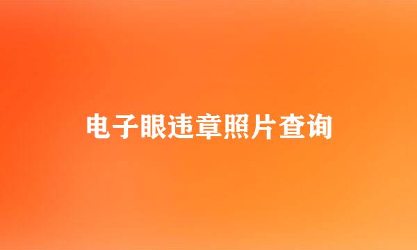 电子眼违章照片查询