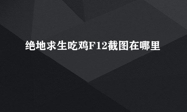 绝地求生吃鸡F12截图在哪里