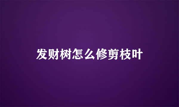 发财树怎么修剪枝叶