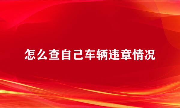 怎么查自己车辆违章情况