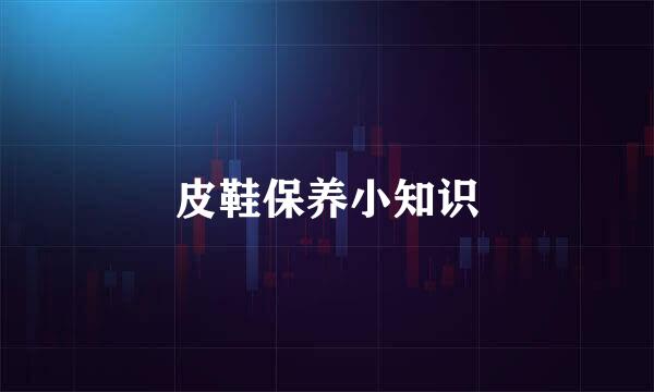 皮鞋保养小知识