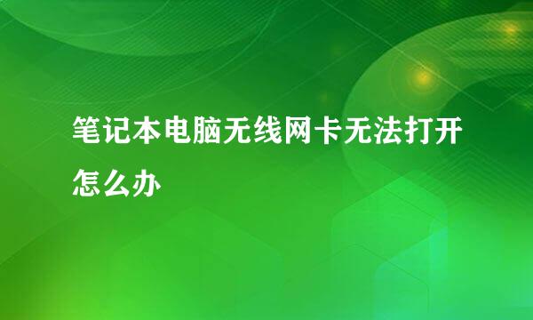 笔记本电脑无线网卡无法打开怎么办