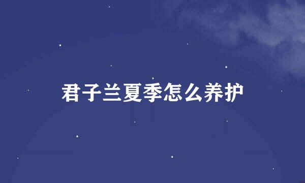 君子兰夏季怎么养护