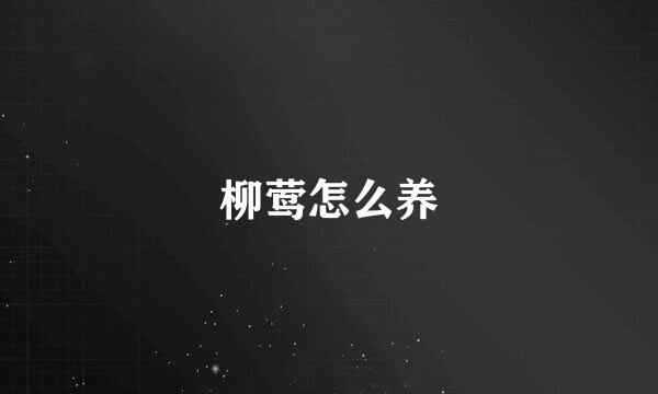 柳莺怎么养