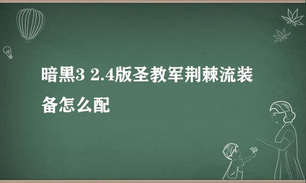 暗黑3 2.4版圣教军荆棘流装备怎么配
