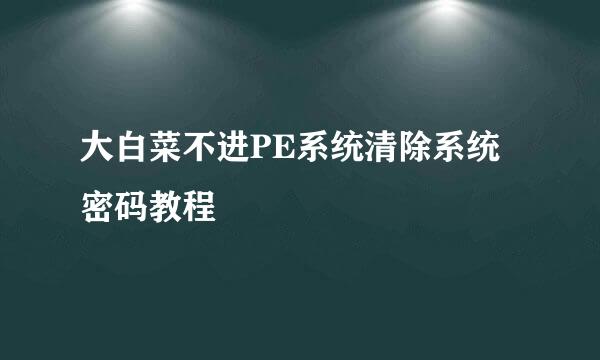 大白菜不进PE系统清除系统密码教程