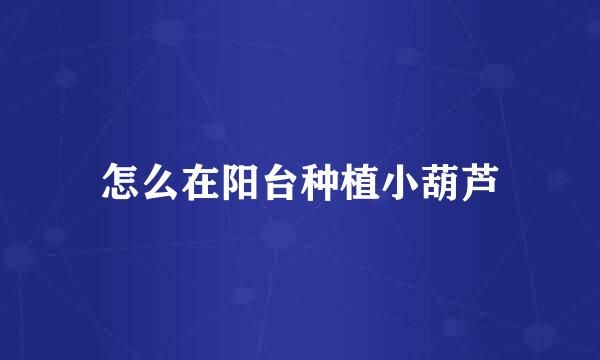 怎么在阳台种植小葫芦