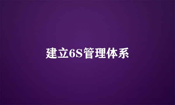 建立6S管理体系