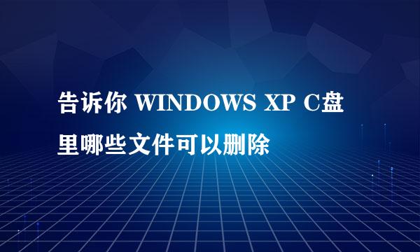 告诉你 WINDOWS XP C盘里哪些文件可以删除