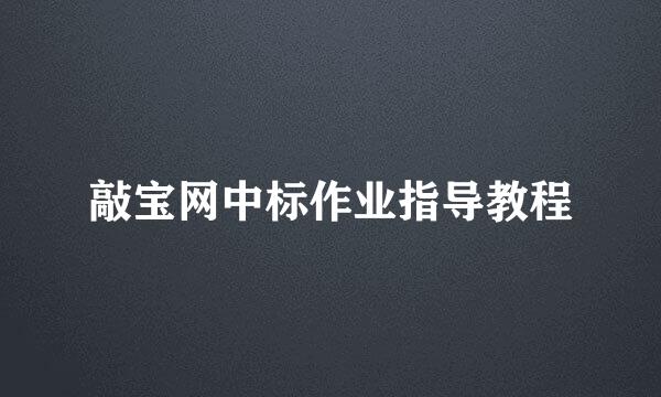 敲宝网中标作业指导教程