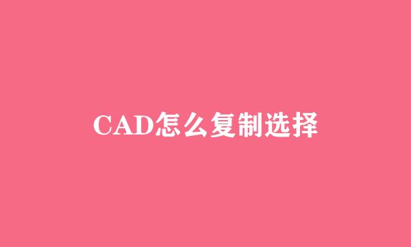 CAD怎么复制选择