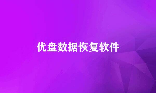 优盘数据恢复软件