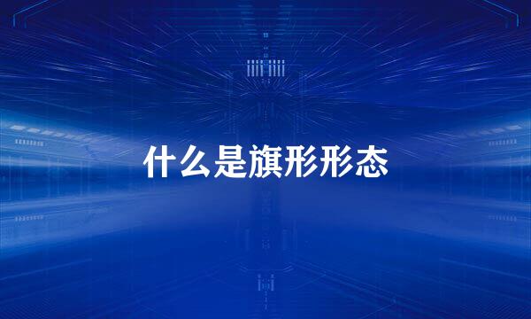 什么是旗形形态