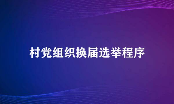 村党组织换届选举程序