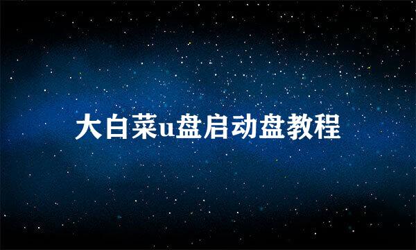 大白菜u盘启动盘教程