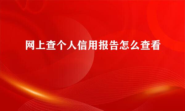 网上查个人信用报告怎么查看