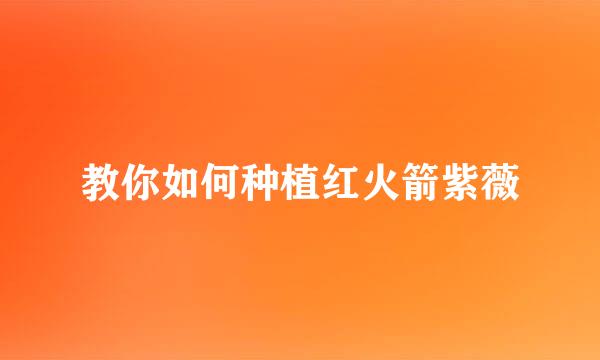 教你如何种植红火箭紫薇