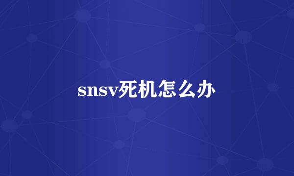 snsv死机怎么办