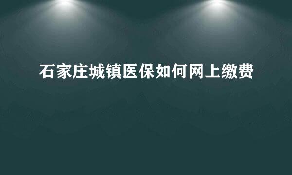 石家庄城镇医保如何网上缴费