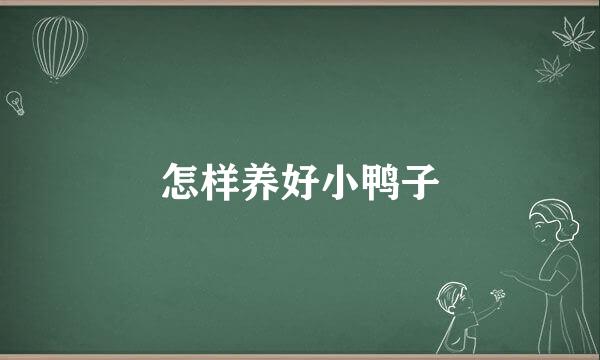 怎样养好小鸭子
