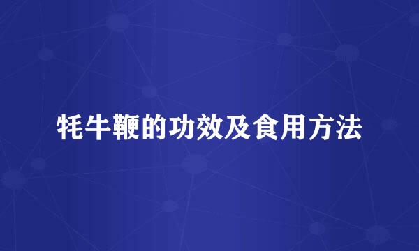 牦牛鞭的功效及食用方法